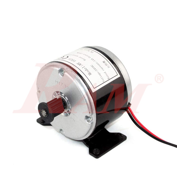 ZY My 1016 Electric Motor DC 36v 250w Brushed E Bike Scooter 36 Volt